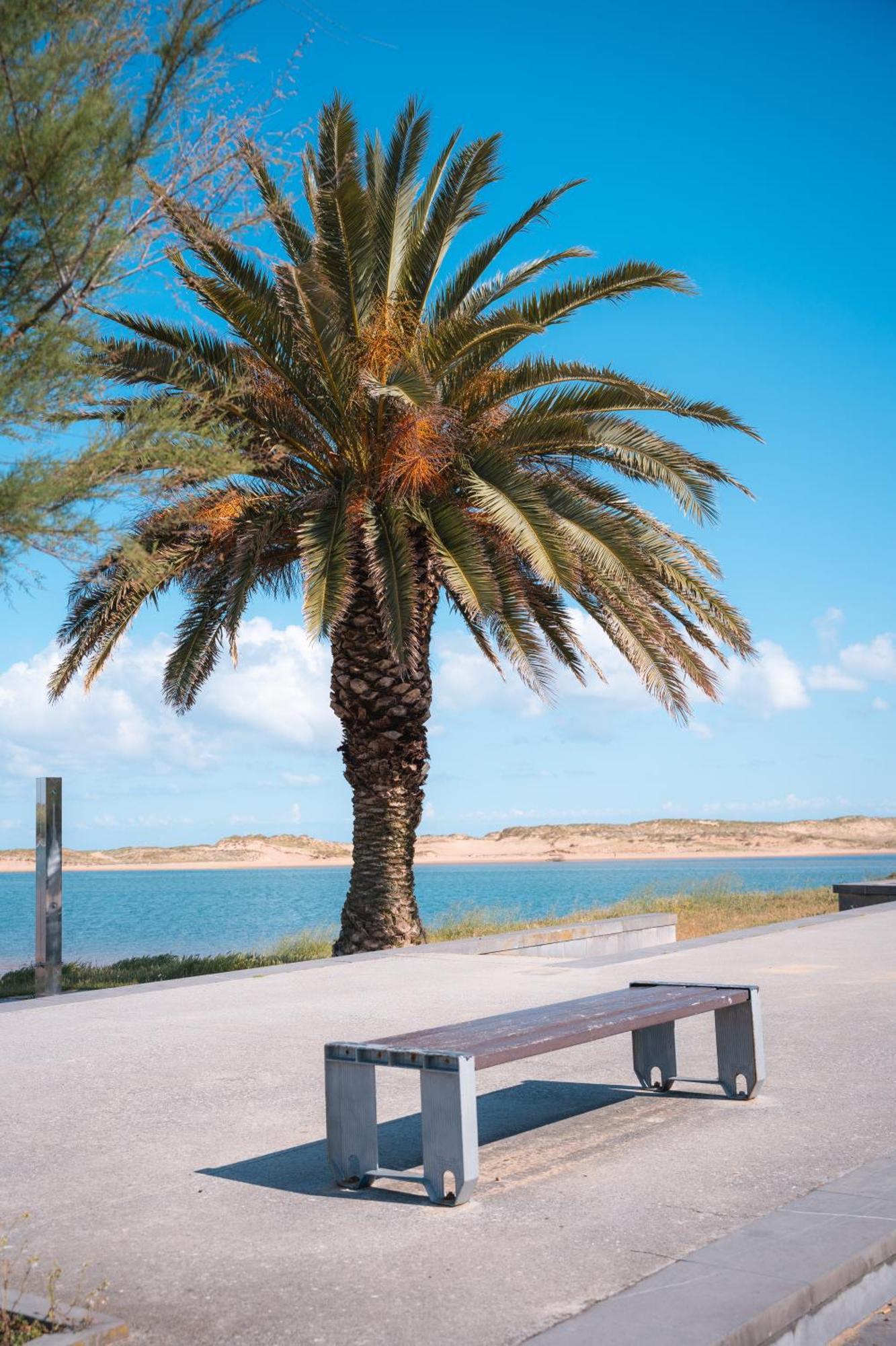 El Mirador De Mogro